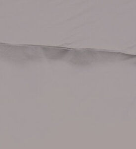 Lauren Plain Cotton Satin Bed Set