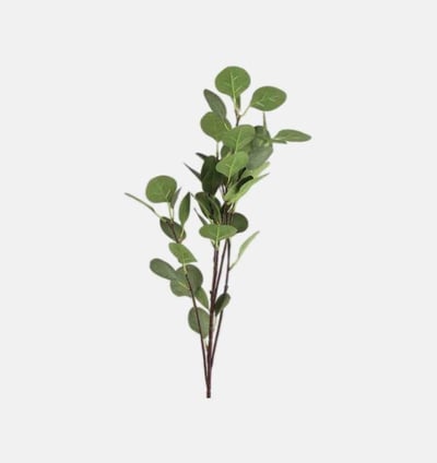 Eucalyptus Faux Stem