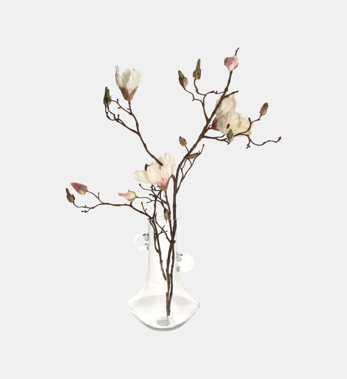 Handled Clear Glass Decorative Vase