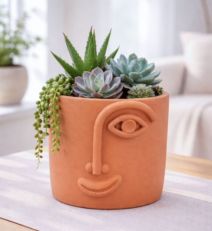 Decostar Joris Terracotta Medium Flower Pot, Terracotta, L, Packshot View