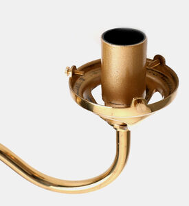 Stainless Steel Gooseneck Wall Lamp