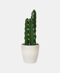 Artificial Plant Pot
