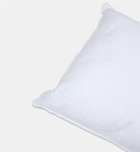 Home Deco and More Palma Cotton Filling Pillow, Packshot View