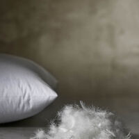 Pillow Can