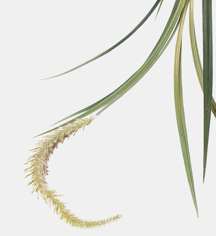 Edg Festuca Spiga Faux Branch, Light-green, Packshot View