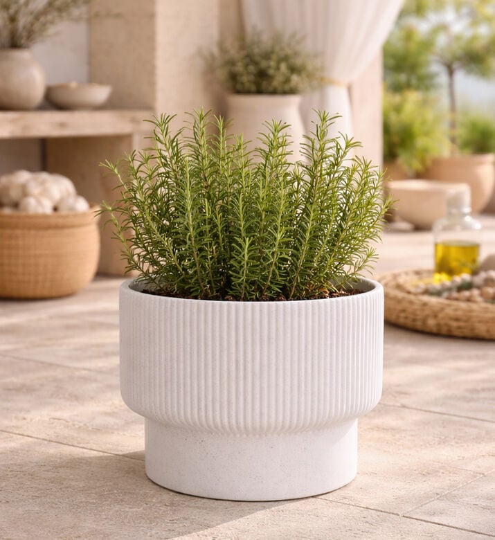 Home Deco and More Fiber Clay Ribbed Top Planter, Light-grey, 38-cm, Packshot View