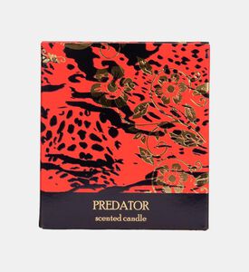 Leopardo Metal Candle Jar 350 Gr