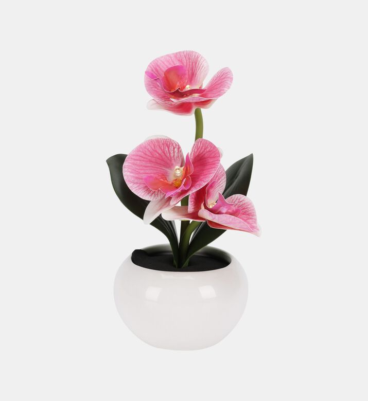 Ceramic Pot Artificial Led Orchid