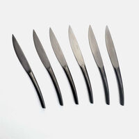 Monobloc Steak Knives 6-piece Set