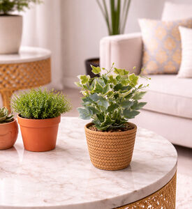 Home Deco and More Artificial Plant Pot, Packshot View