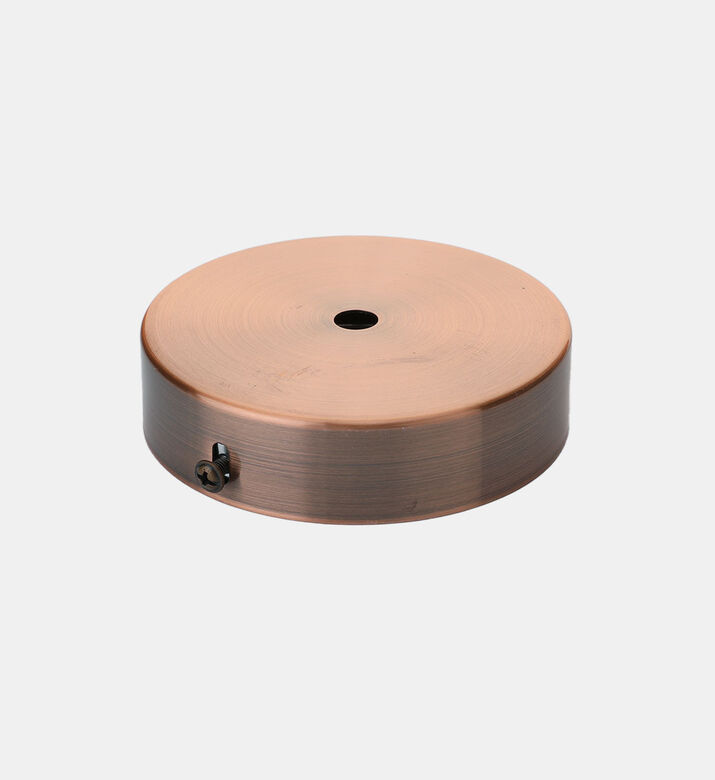 Steel Ceiling Rose Single Output