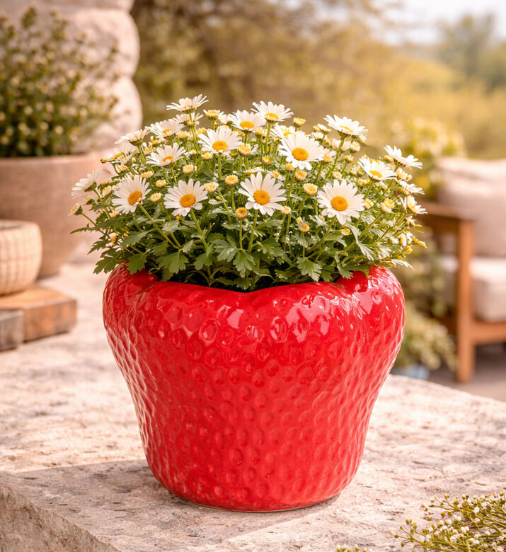 Home Deco and More Strawberry-shape Flower Pot, Red, 20-cm, Packshot View