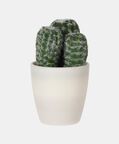 Artificial Plant Pot