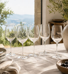 Salt and Pepper Glass White Wine Salute Set, Packshot View