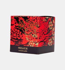 Leopardo Metal Candle Jar 350 Gr