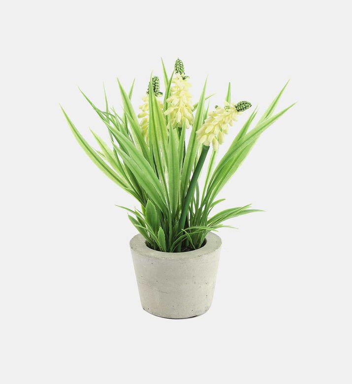 Decostar Muscari Faux Flower Pot, Cream, Packshot View