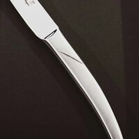 Monobloc Steak Knives 6-piece Set