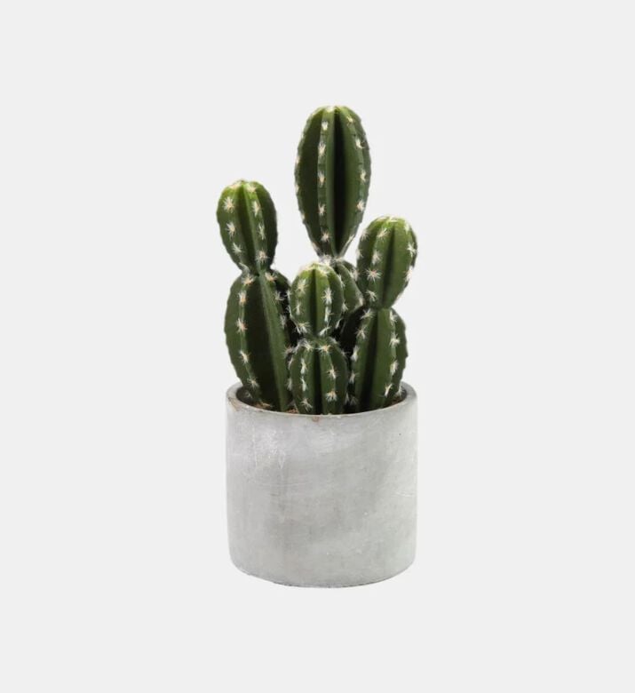 Decostar Cactaceae Hillock Medium Faux Pot, Green, L, Packshot View