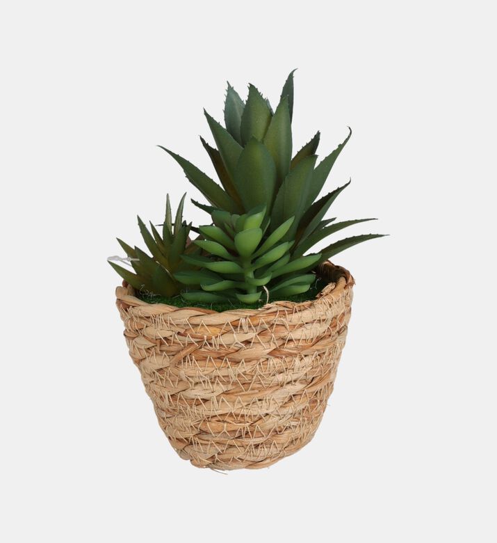 Seagrass Basket Artificial Succulent