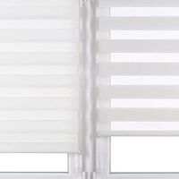 Day-night Roller Blind Curtain