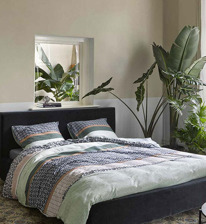 Bisa Cotton Satin Bed Set