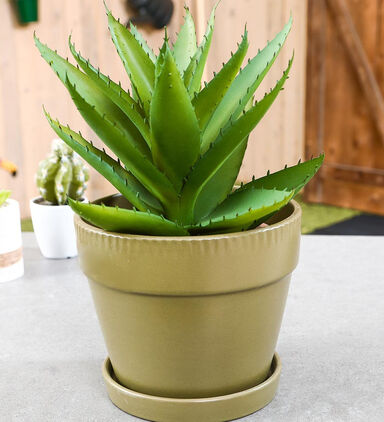 Ceramic Round Gardening Pot