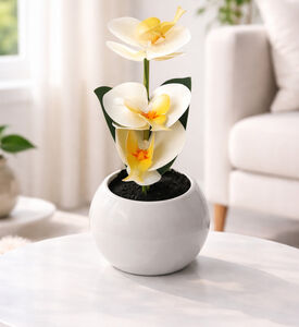Home Deco and More Artificial Led Orchid-in-pot, Packshot View