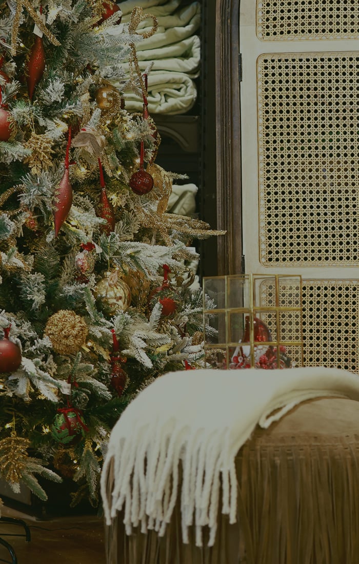 Stylish furniture, decor, tableware, and home essentials to create a personalized and inviting living space.